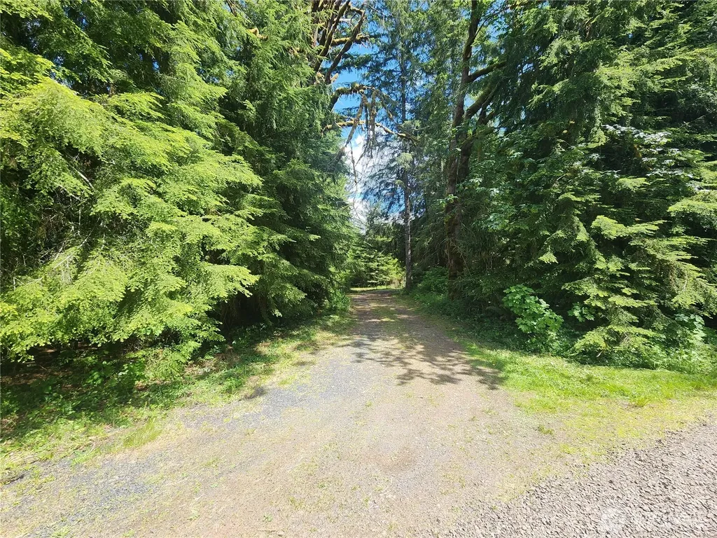 504 Winston Creek Road Mossyrock WA 98564