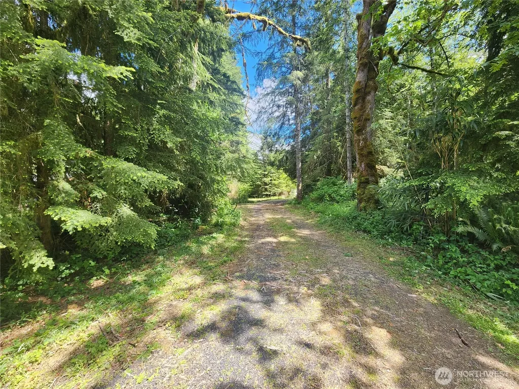 504 Winston Creek Road Mossyrock WA 98564