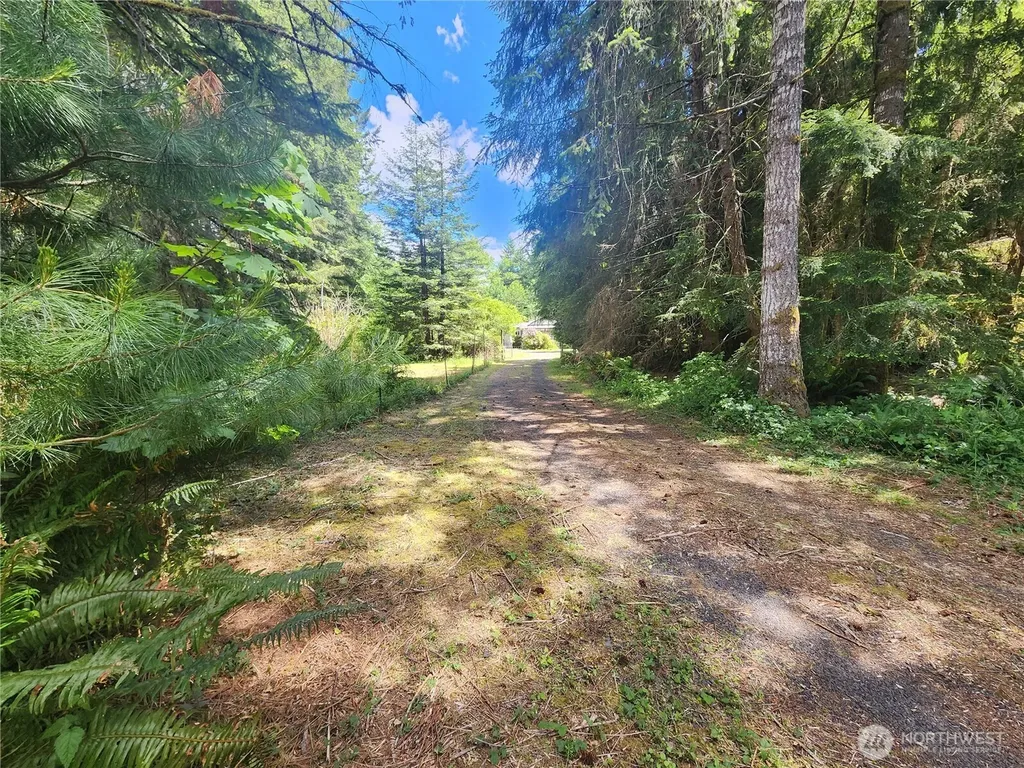 504 Winston Creek Road Mossyrock WA 98564