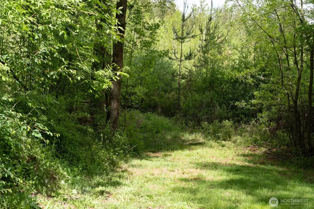 236 Gray Road Toledo WA 98591