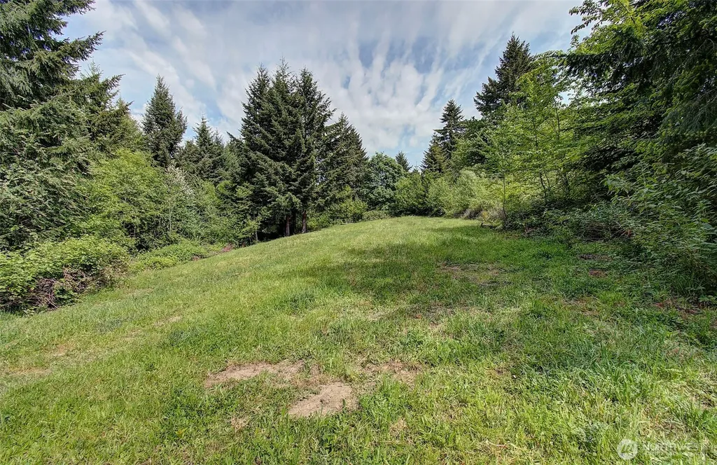 248 Harlequin Court Woodland WA 98674