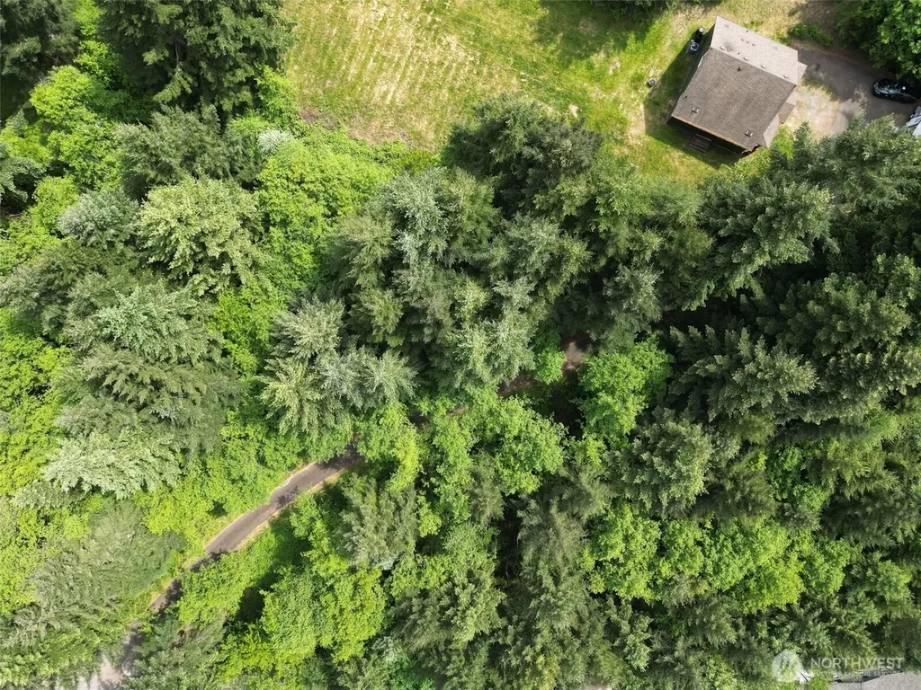 248 Harlequin Court Woodland WA 98674
