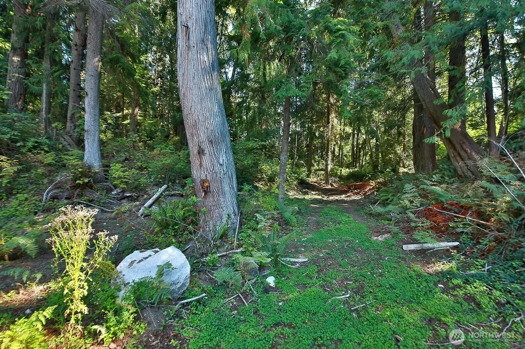 4935 Helppie Lane Freeland WA 98249