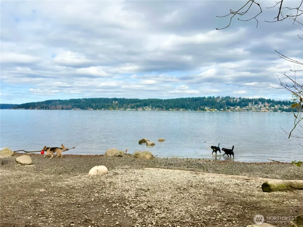 5834 NE 75th Street Seattle WA 98115