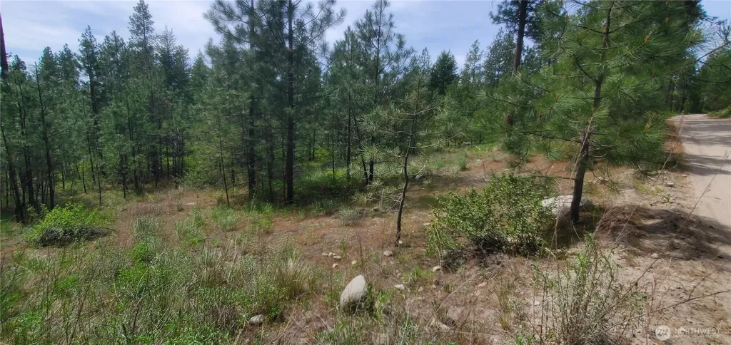 6 Okanogan River Ranches Divide 1 Tonasket WA 98855