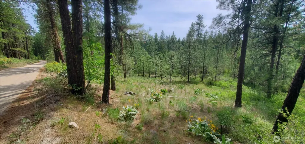 6 Okanogan River Ranches Divide 1 Tonasket WA 98855