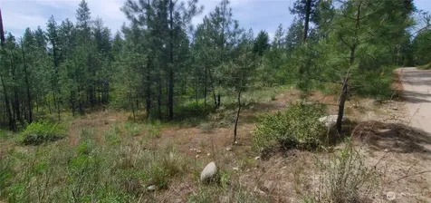 6 Okanogan River Ranches Divide 1 Tonasket WA 98855