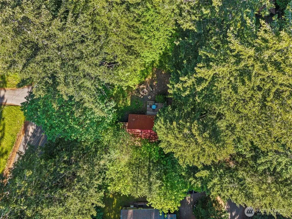 139 Mount Rainier Drive Packwood WA 98361