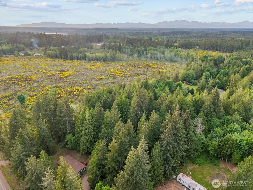 21 Burrows Lane Shelton WA 98584