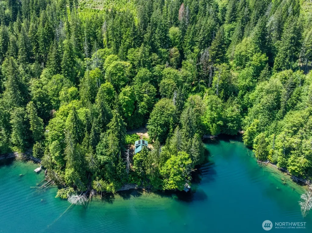 1620 W Cushman Ridge Road Hoodsport WA 98563