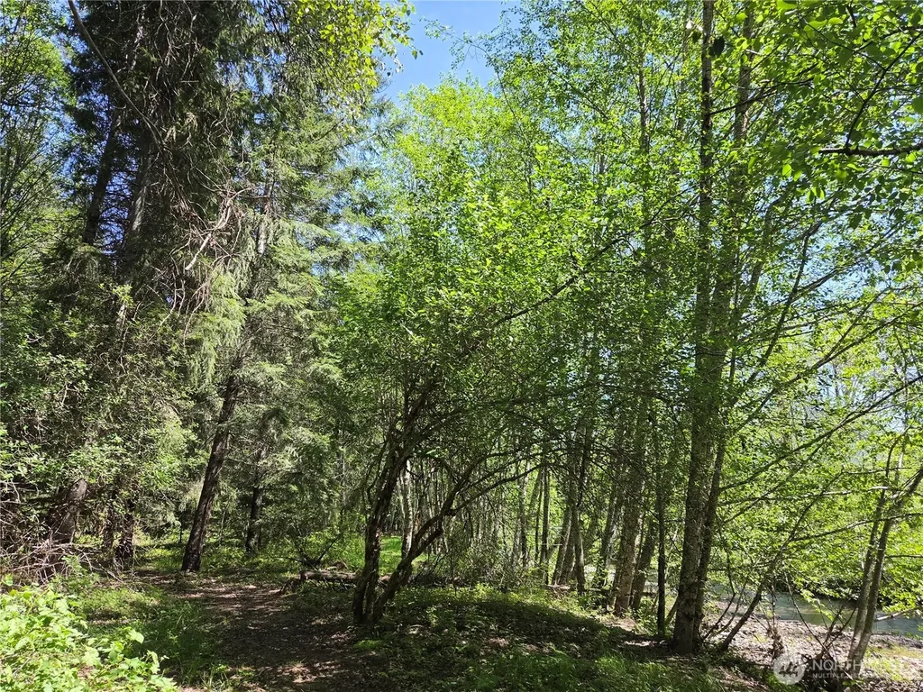 127 Campfire Lane Packwood WA 98361