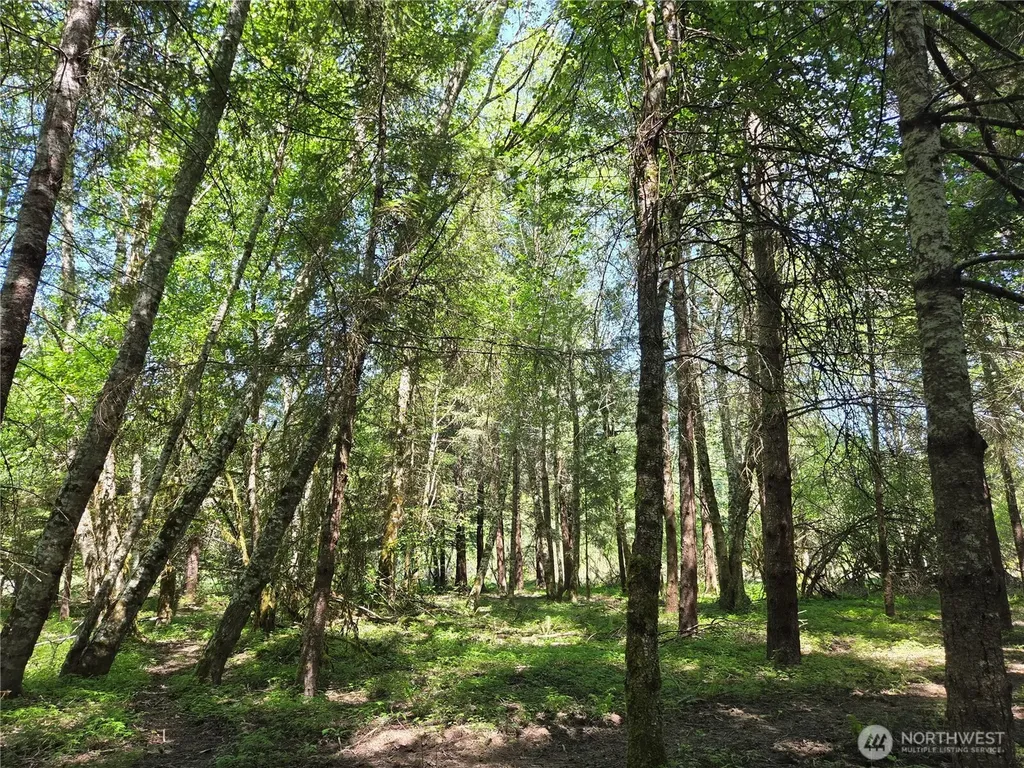 127 Campfire Lane Packwood WA 98361