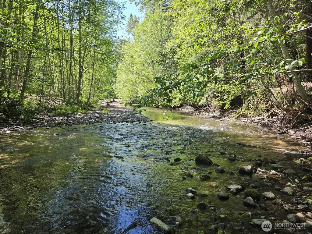 127 Campfire Lane Packwood WA 98361