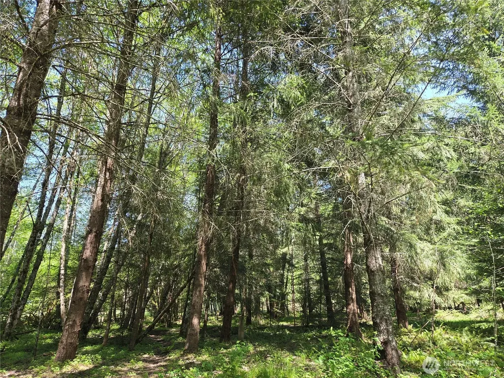 127 Campfire Lane Packwood WA 98361