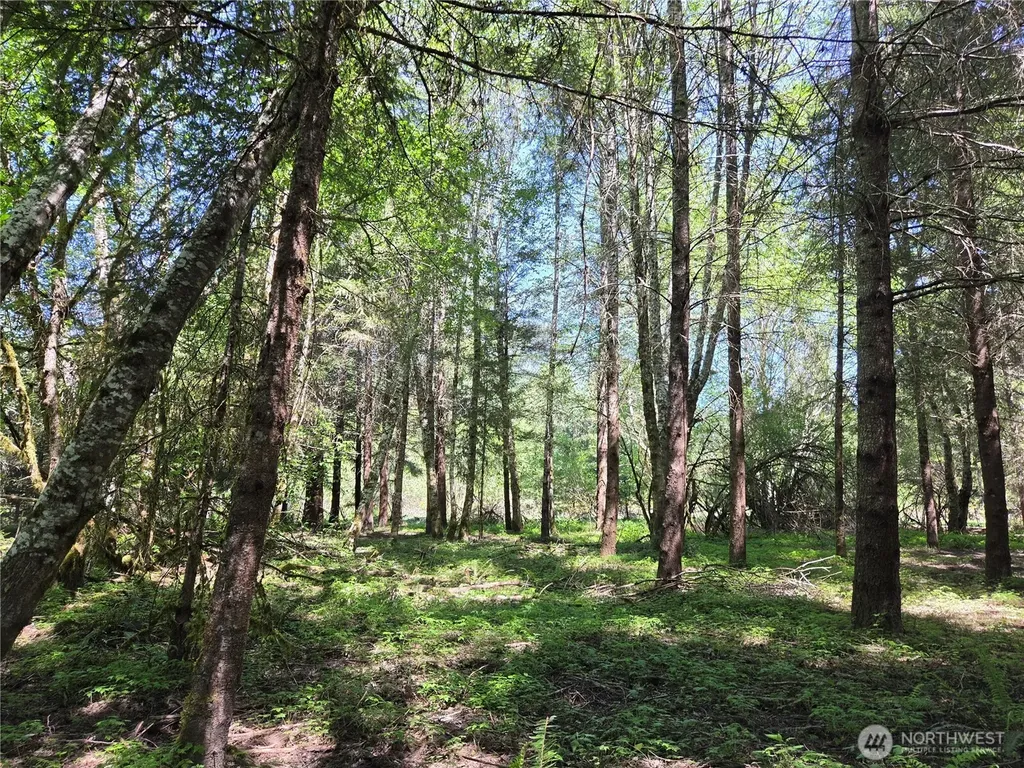 127 Campfire Lane Packwood WA 98361