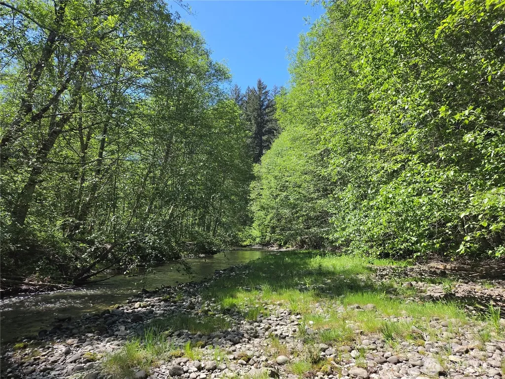 127 Campfire Lane Packwood WA 98361