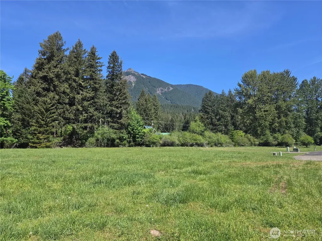 127 Campfire Lane Packwood WA 98361