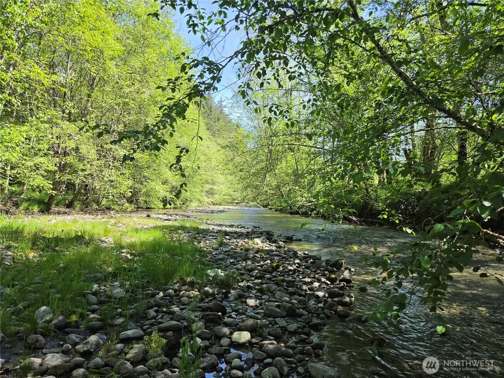 127 Campfire Lane Packwood WA 98361