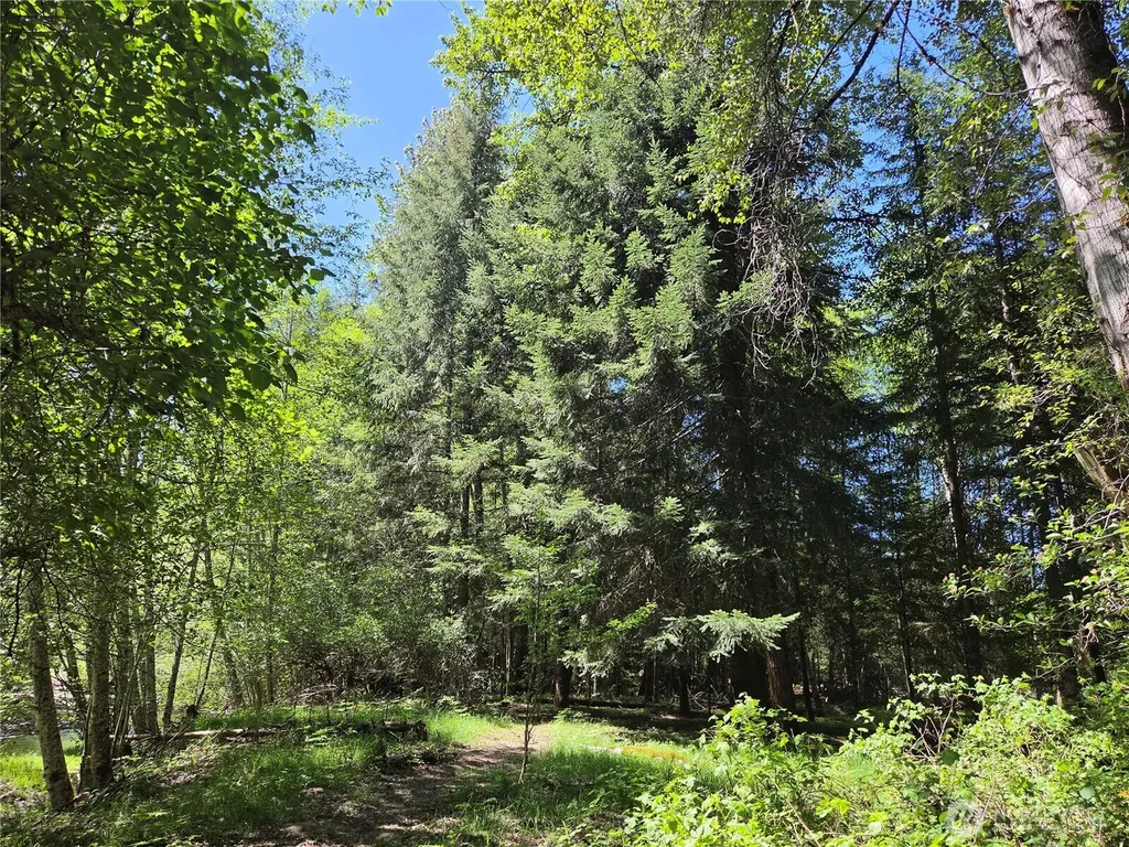 127 Campfire Lane Packwood WA 98361