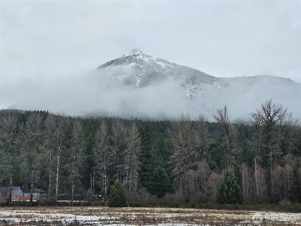 127 Campfire Lane Packwood WA 98361