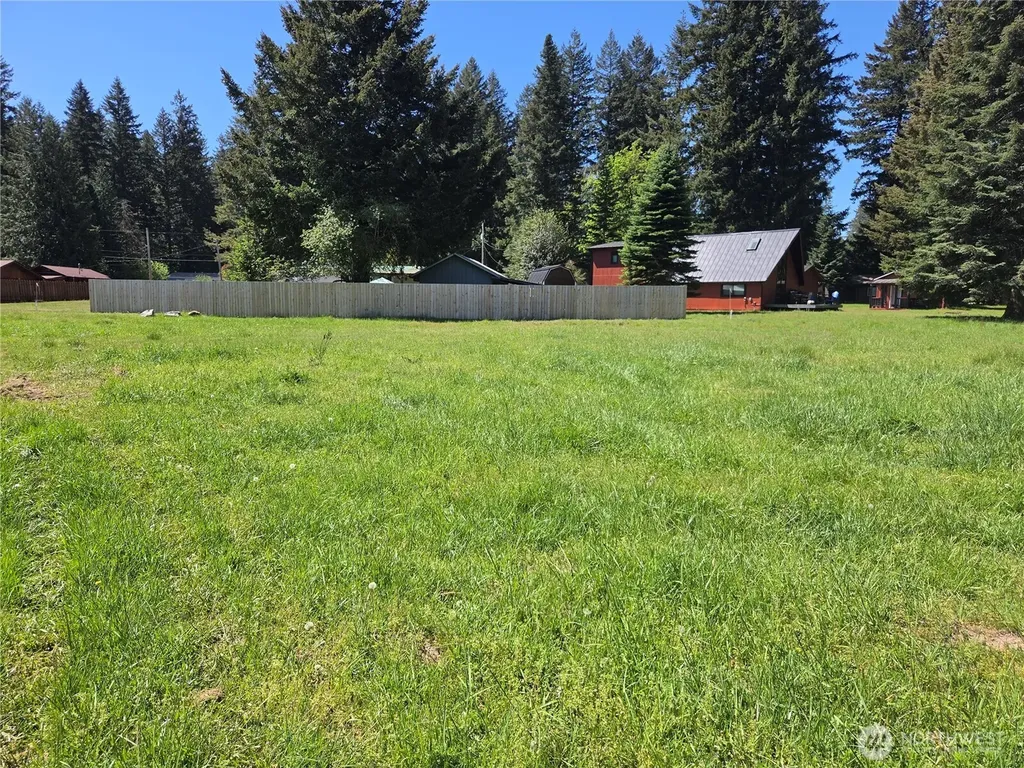 127 Campfire Lane Packwood WA 98361