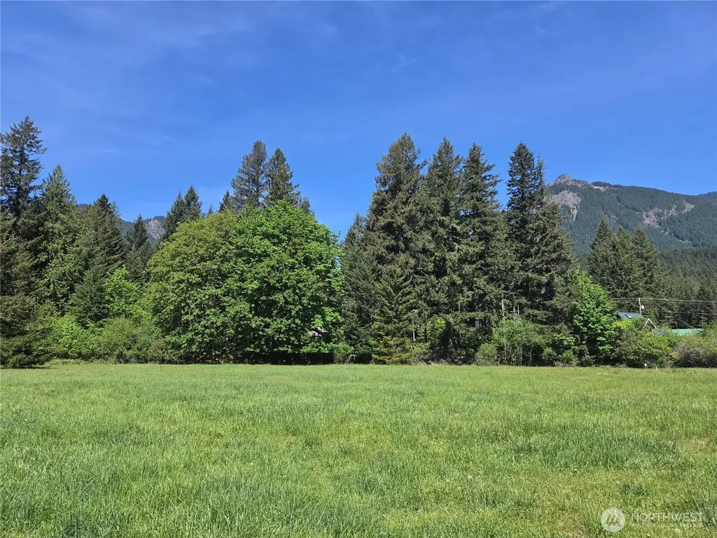 127 Campfire Lane Packwood WA 98361