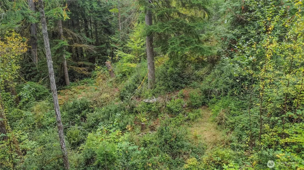 220 E Peebles Court Shelton WA 98584
