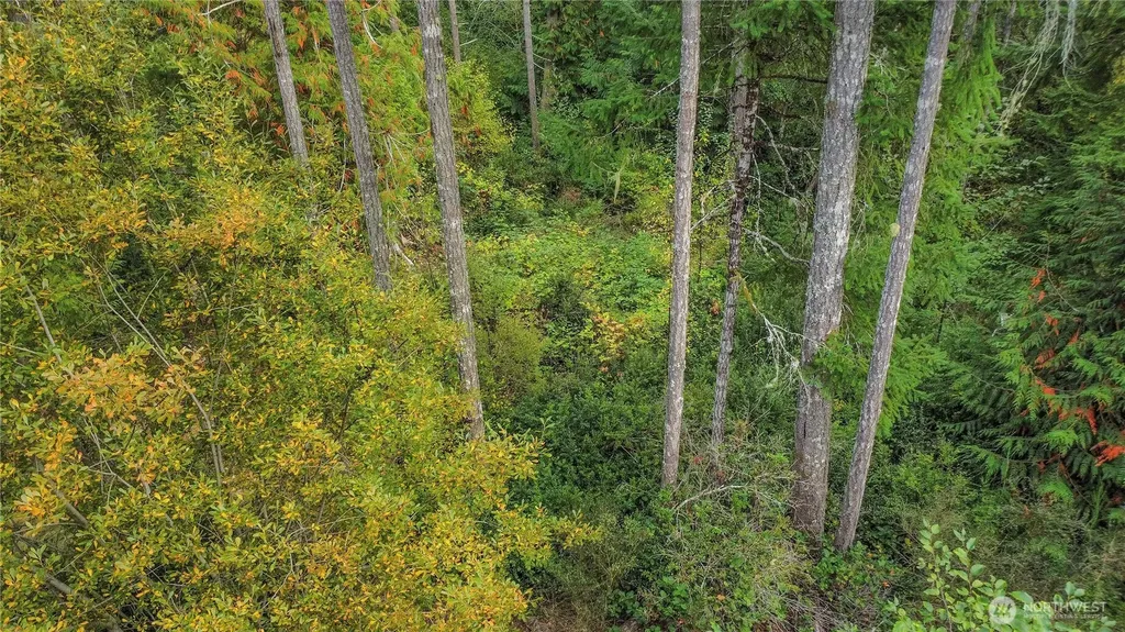 220 E Peebles Court Shelton WA 98584