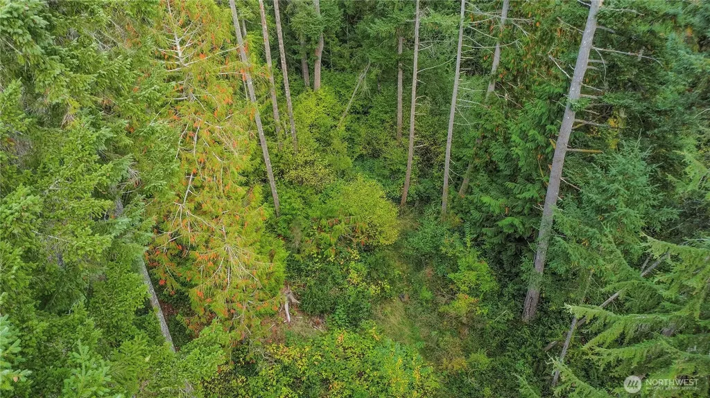 220 E Peebles Court Shelton WA 98584