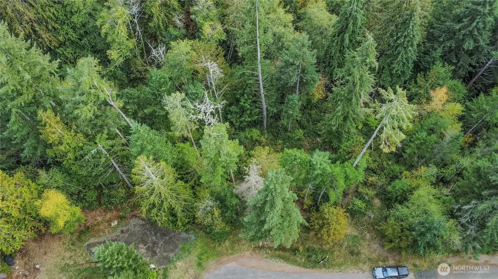 220 E Peebles Court Shelton WA 98584