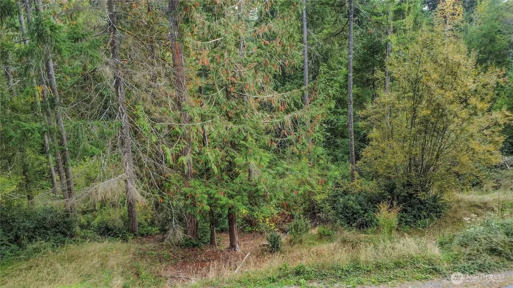 220 E Peebles Court Shelton WA 98584
