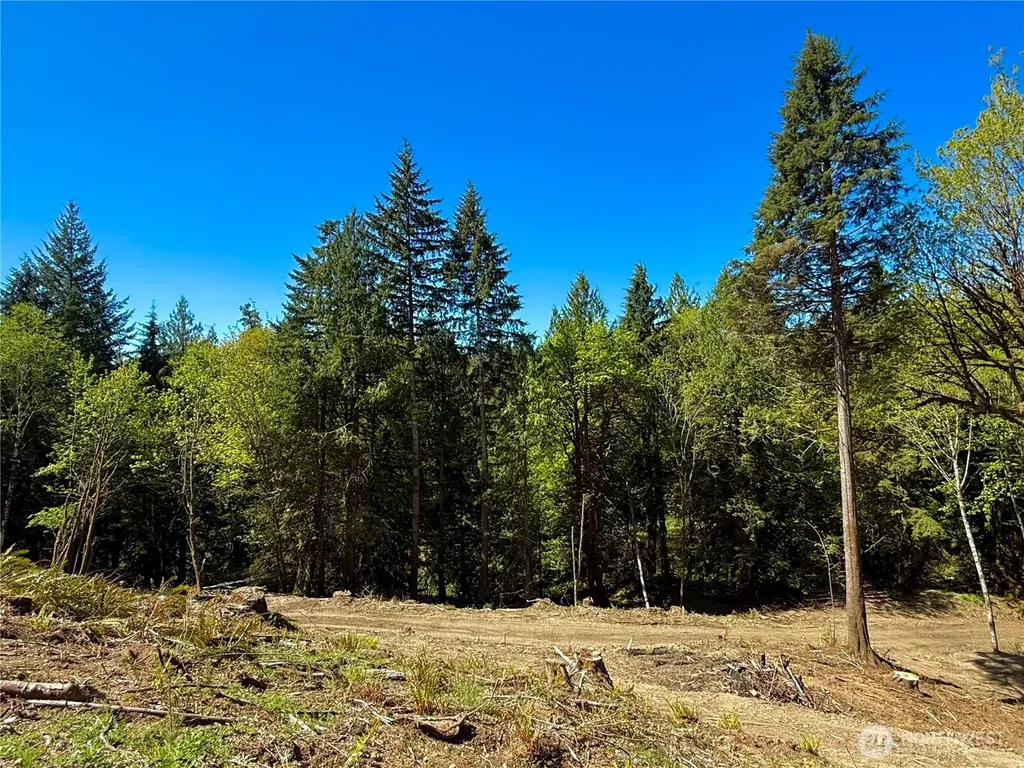 75 E Lakewood Drive Belfair WA 98528