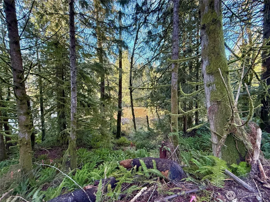 75 E Lakewood Drive Belfair WA 98528