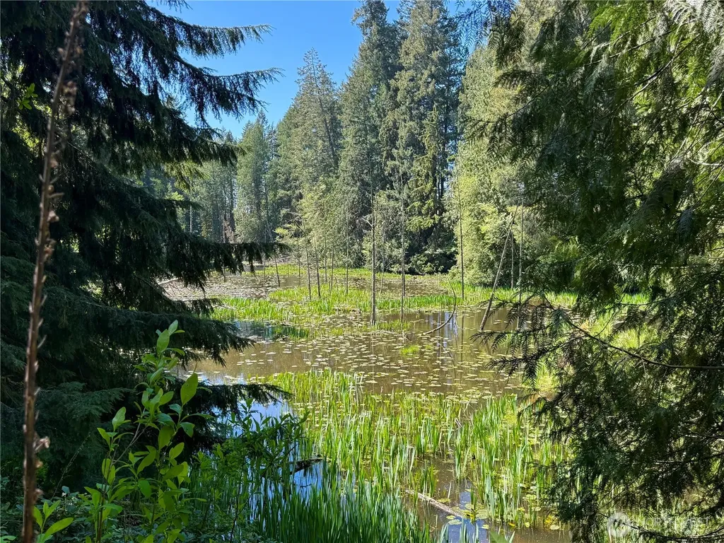 75 E Lakewood Drive Belfair WA 98528
