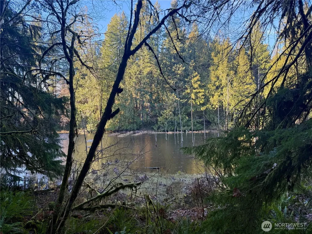 75 E Lakewood Drive Belfair WA 98528