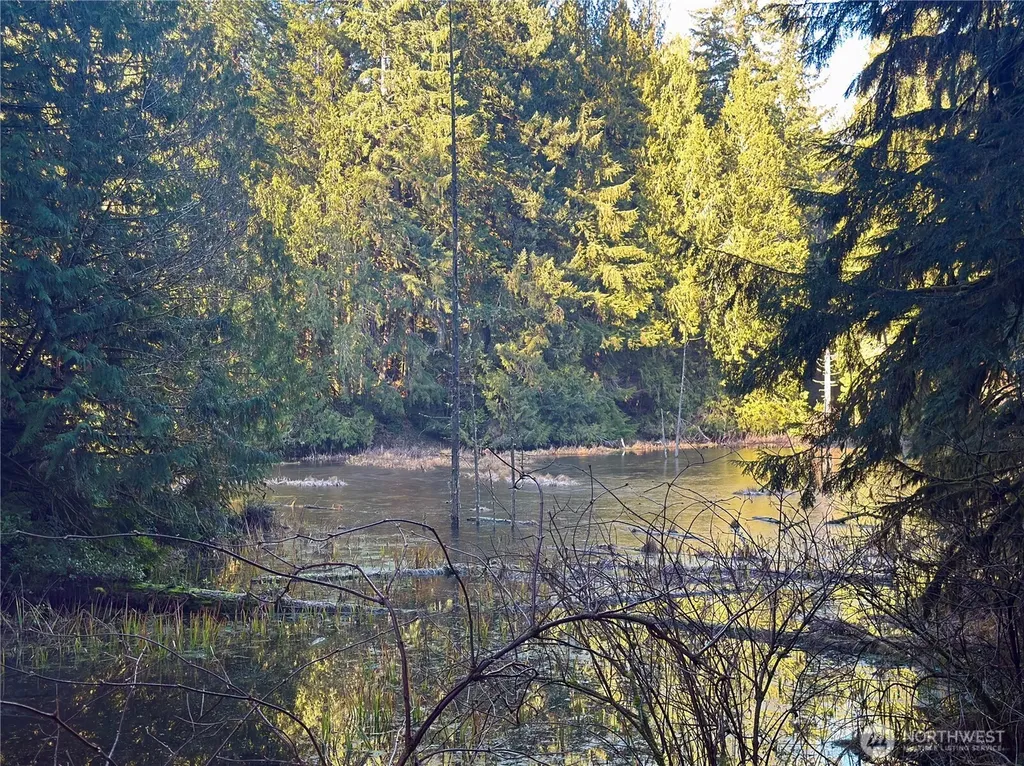 75 E Lakewood Drive Belfair WA 98528