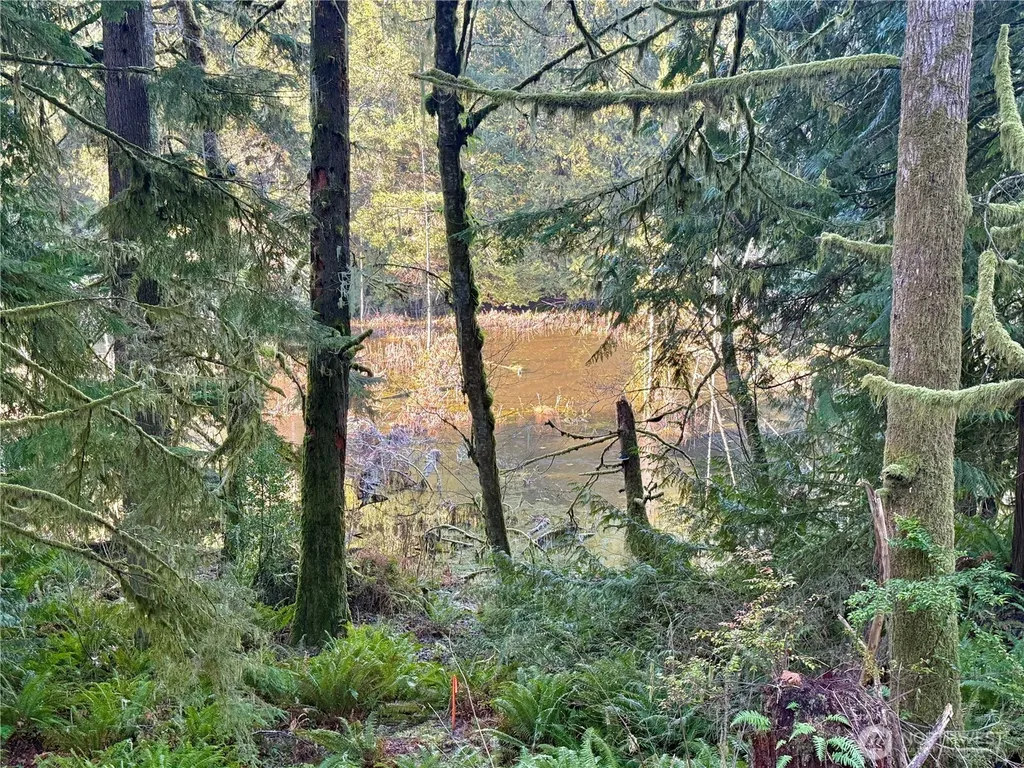 75 E Lakewood Drive Belfair WA 98528