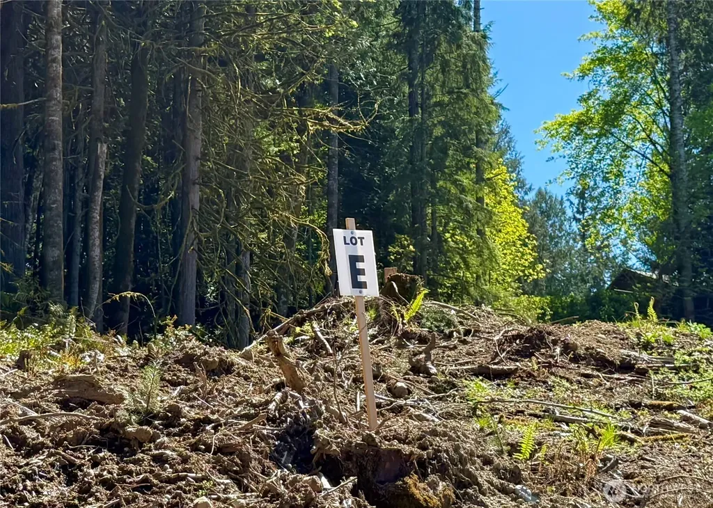 75 E Lakewood Drive Belfair WA 98528