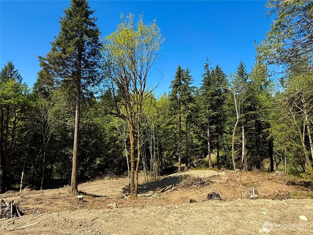 75 E Lakewood Drive Belfair WA 98528
