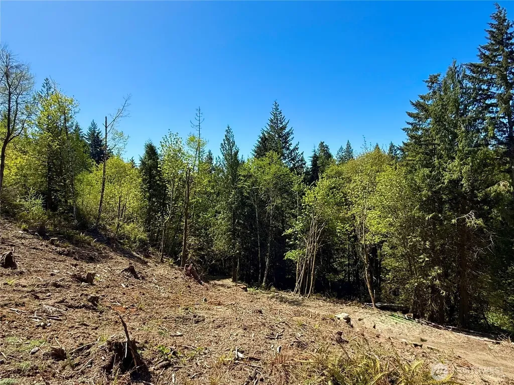 75 E Lakewood Drive Belfair WA 98528