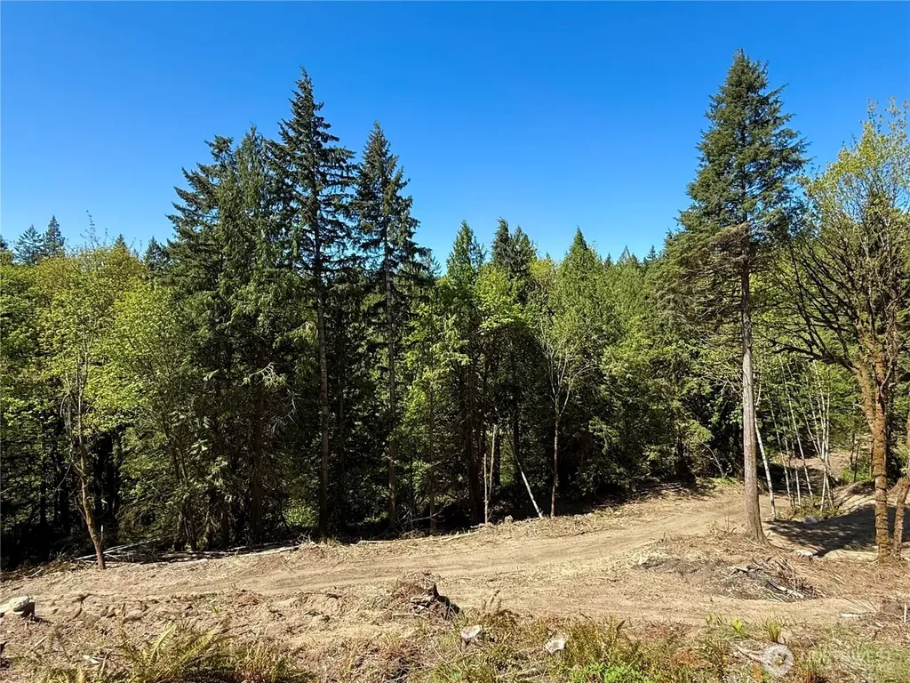 75 E Lakewood Drive Belfair WA 98528
