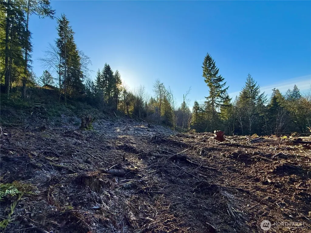 75 E Lakewood Drive Belfair WA 98528