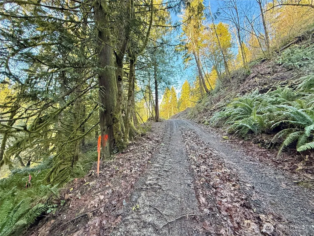 75 E Lakewood Drive Belfair WA 98528