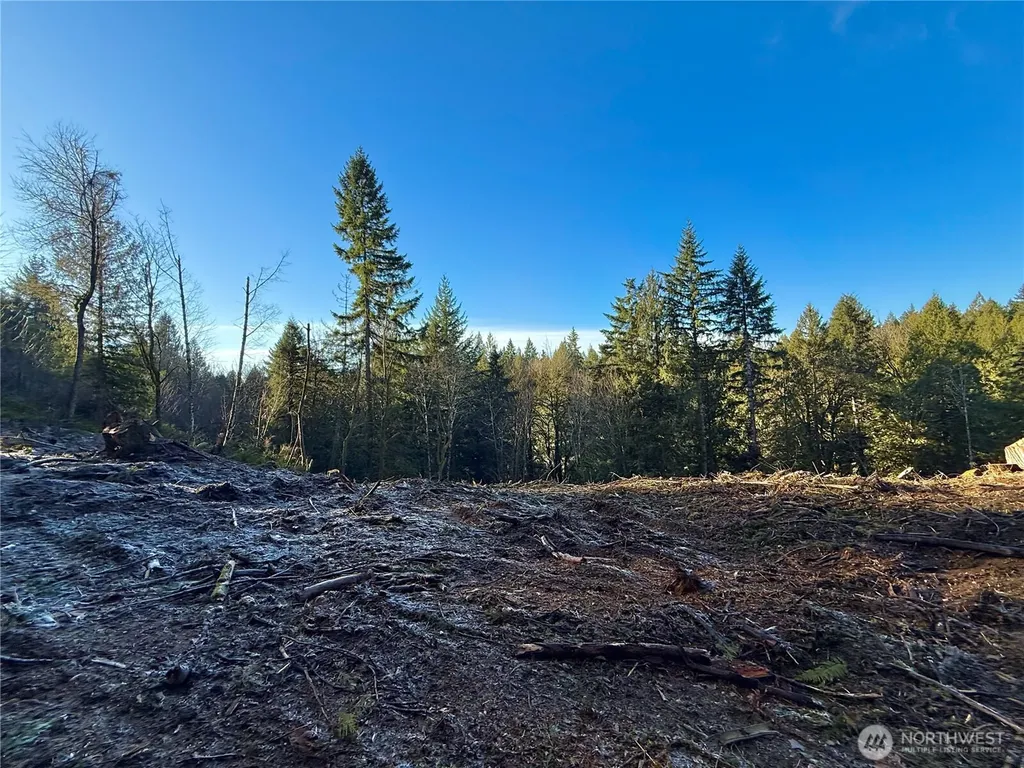 75 E Lakewood Drive Belfair WA 98528