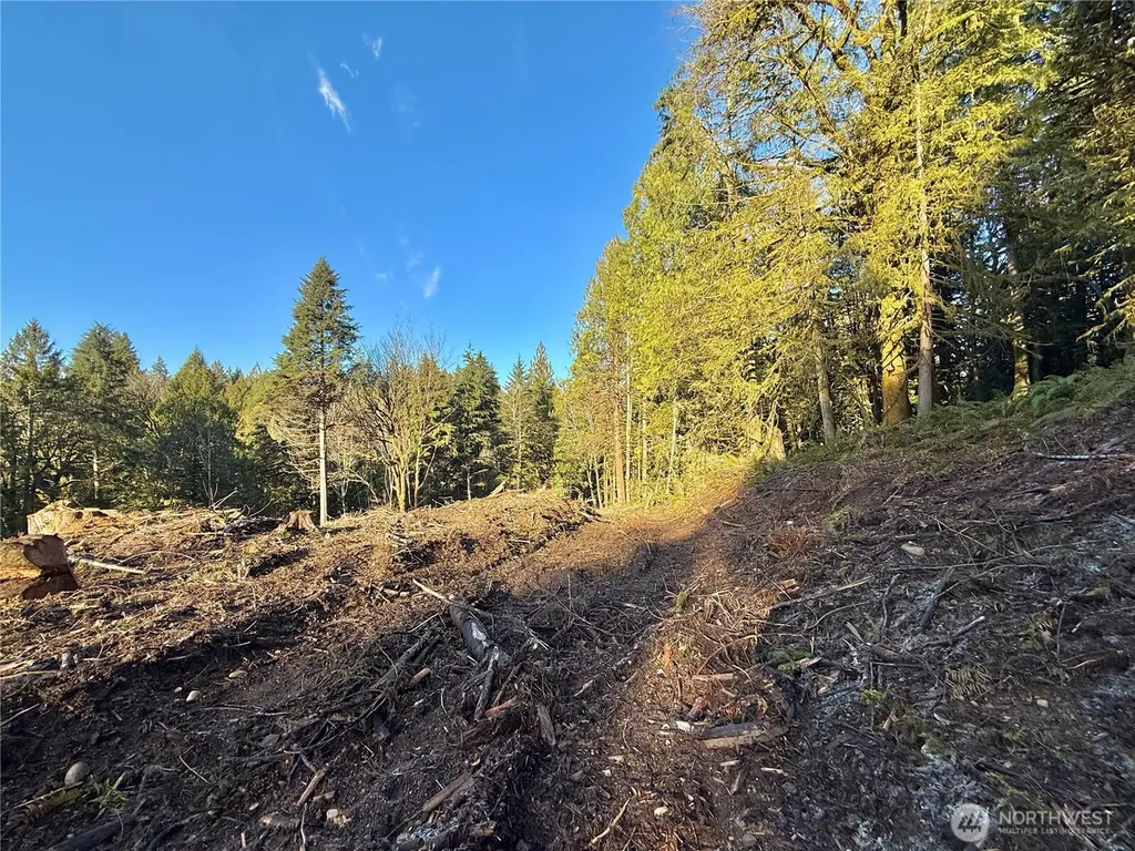 75 E Lakewood Drive Belfair WA 98528