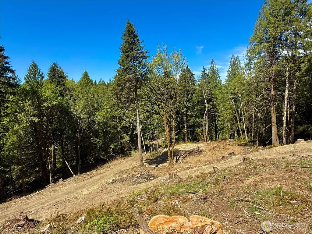 75 E Lakewood Drive Belfair WA 98528
