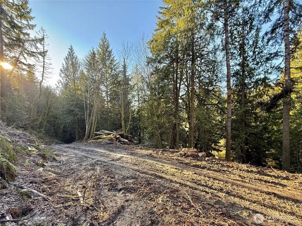 75 E Lakewood Drive Belfair WA 98528