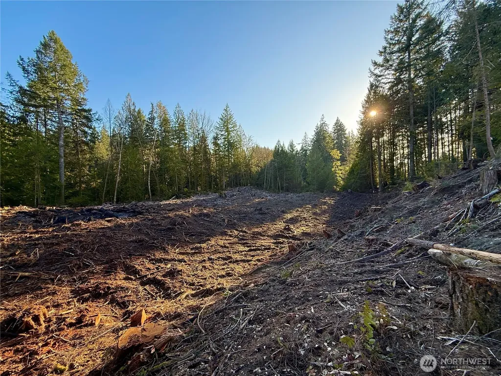105 E Lakewood Drive Belfair WA 98528