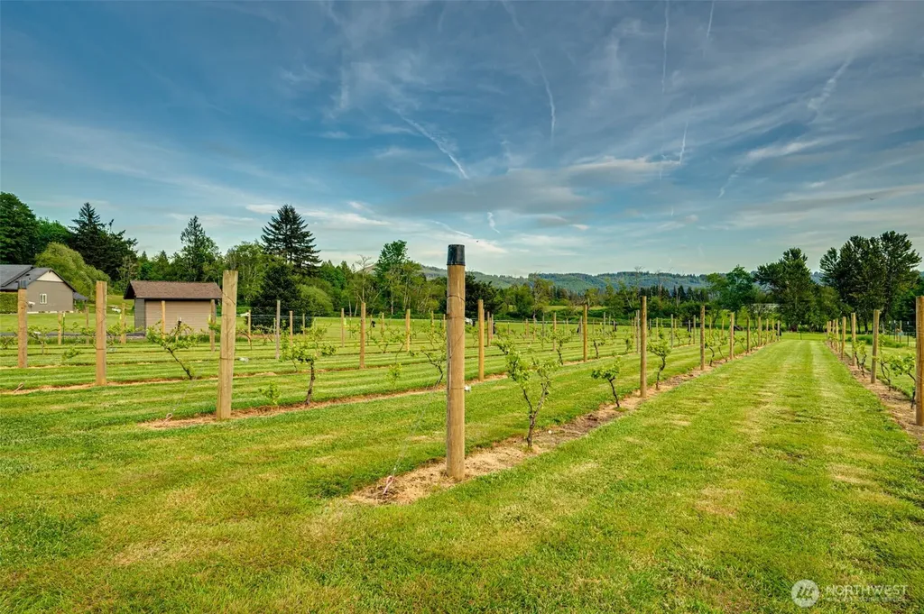 153 Glenhaven Drive Woodland WA 98674