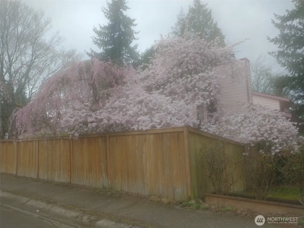 8129 NE 131st Street Kirkland WA 98034